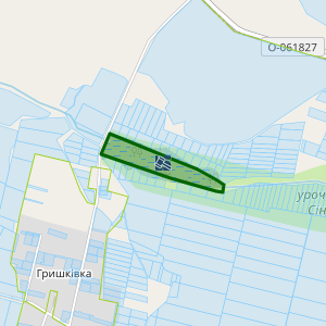 Земельна ділянка 1825084200:06:000:0486, площа 7.0340 га