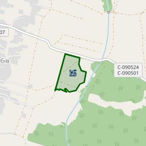 Земельна ділянка 2622086000:02:004:0001, площа 12.3368 га