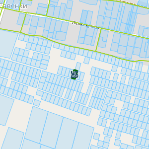 Земельна ділянка 3221880400:08:003:0752, площа 0.1144 га