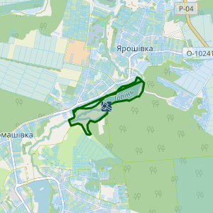 Земельна ділянка 3224986200:01:003:0001, площа 32.2360 га