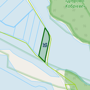 Земельна ділянка 5320482400:00:004:0115, площа 2.0000 га