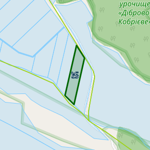 Земельна ділянка 5320482400:00:004:0116, площа 2.0000 га