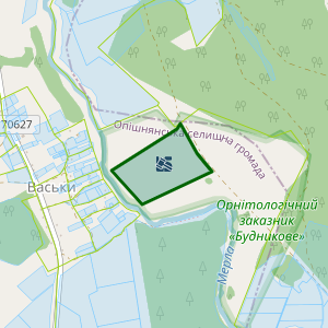 Земельна ділянка 5321355400:00:038:0004, площа 12.5106 га