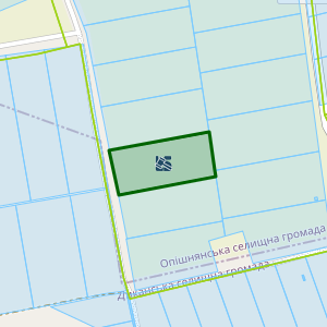 Земельна ділянка 5321384800:00:049:0021, площа 3.6505 га