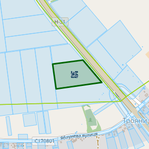 Земельна ділянка 5321884600:00:006:0135, площа 3.7499 га