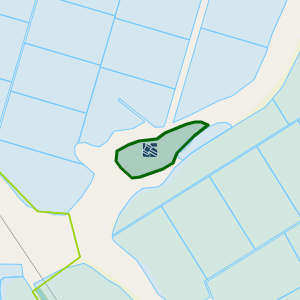 Земельна ділянка 5323255400:00:007:0156, площа 2.1783 га