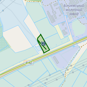 Земельна ділянка 5323280200:00:008:0080, площа 1.1044 га
