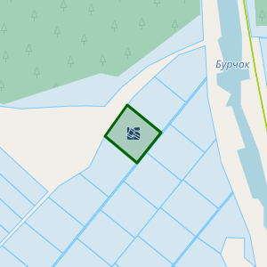 Земельна ділянка 5324581500:00:002:0555, площа 2.0000 га