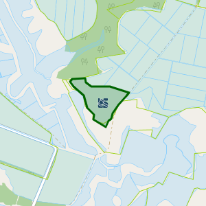 Земельна ділянка 5325155100:00:009:0040, площа 9.9921 га